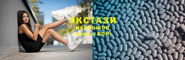 индика Дмитров