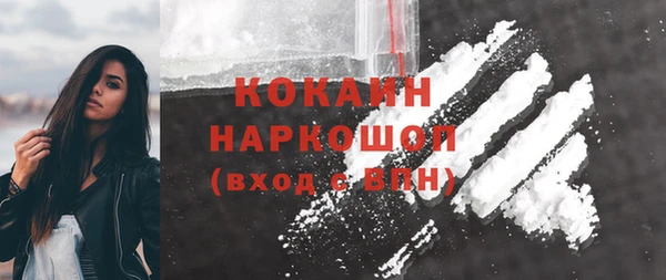 индика Дмитров