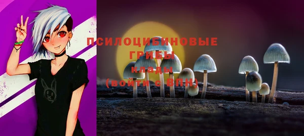 индика Дмитров