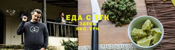 индика Дмитров