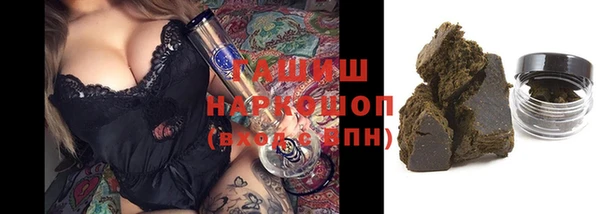 индика Дмитров