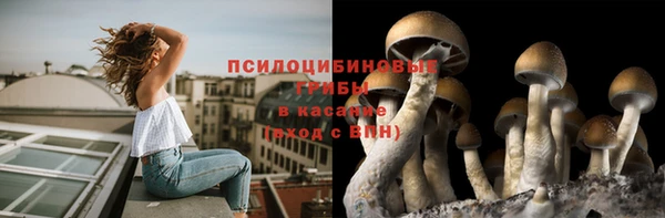 MDMA Premium VHQ Дмитриев