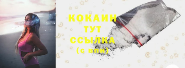 индика Дмитров