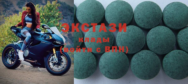индика Дмитров