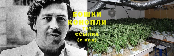 индика Дмитров