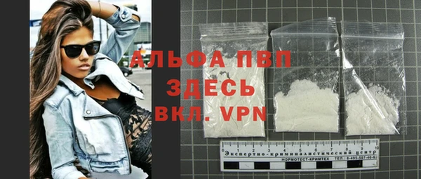 индика Дмитров