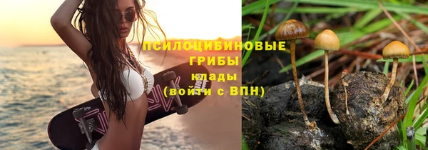ПСИЛОЦИБИНОВЫЕ ГРИБЫ Дмитровск