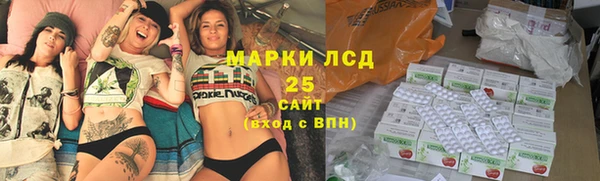 индика Дмитров